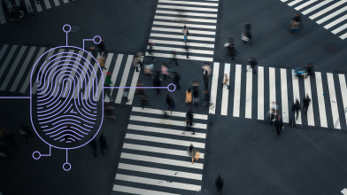 Four white crossing pedestrian crossings with passers-by