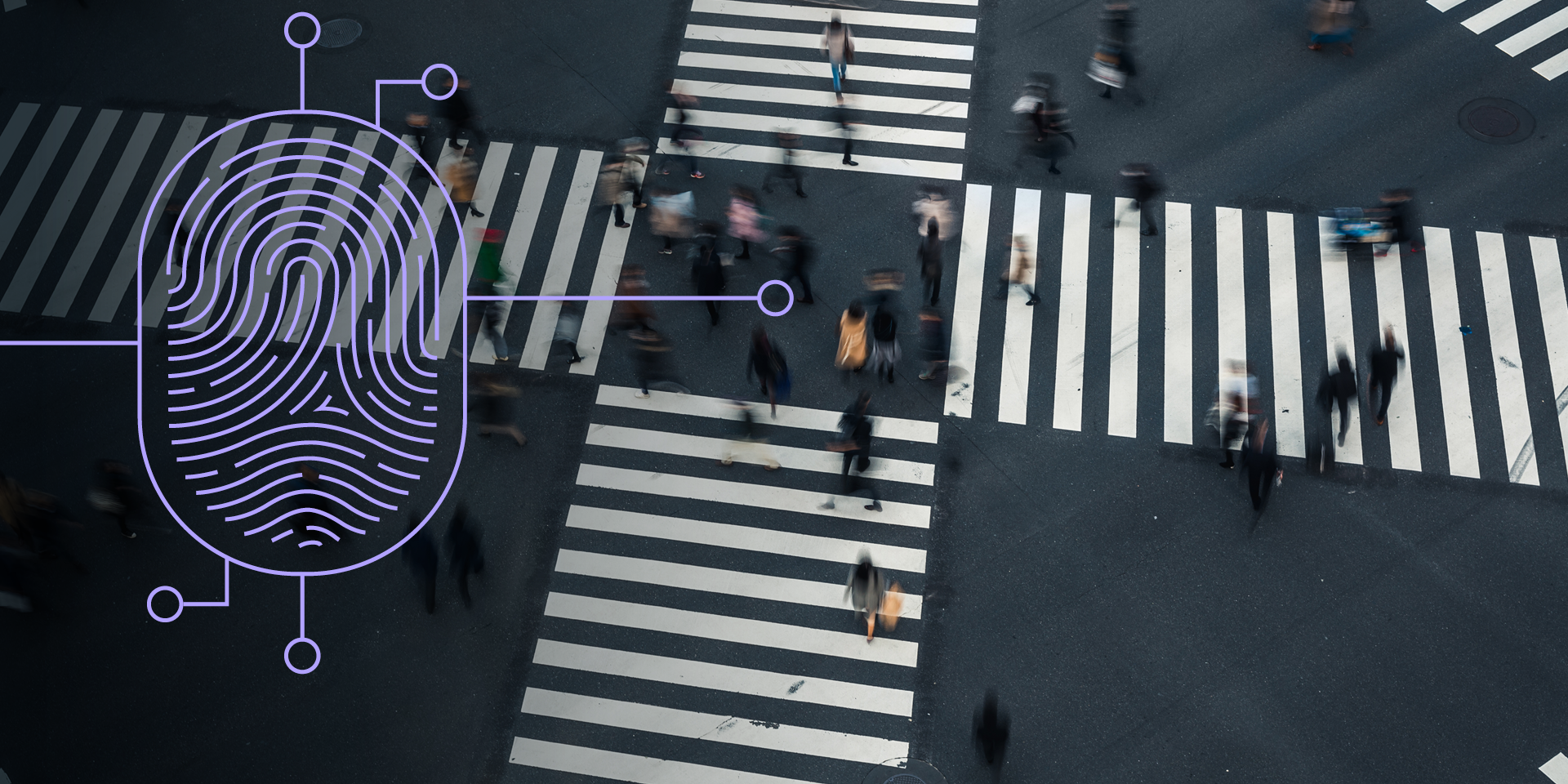 Large pedestrian crossing with four white pedestrian crossings and people