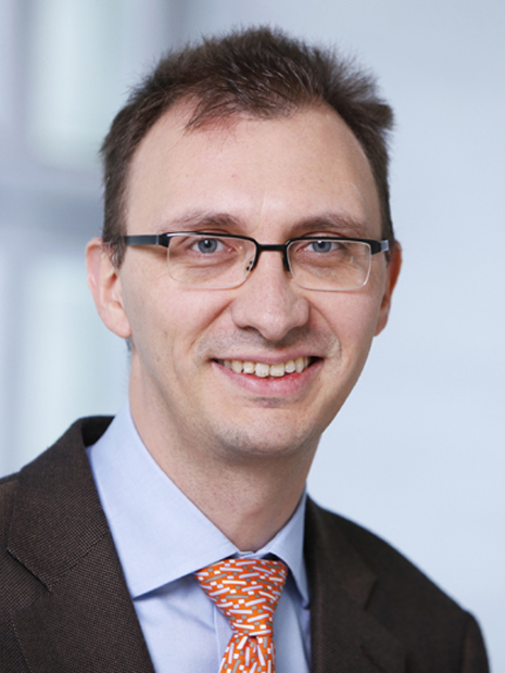 Prof. Dr. Andrea Frangi 