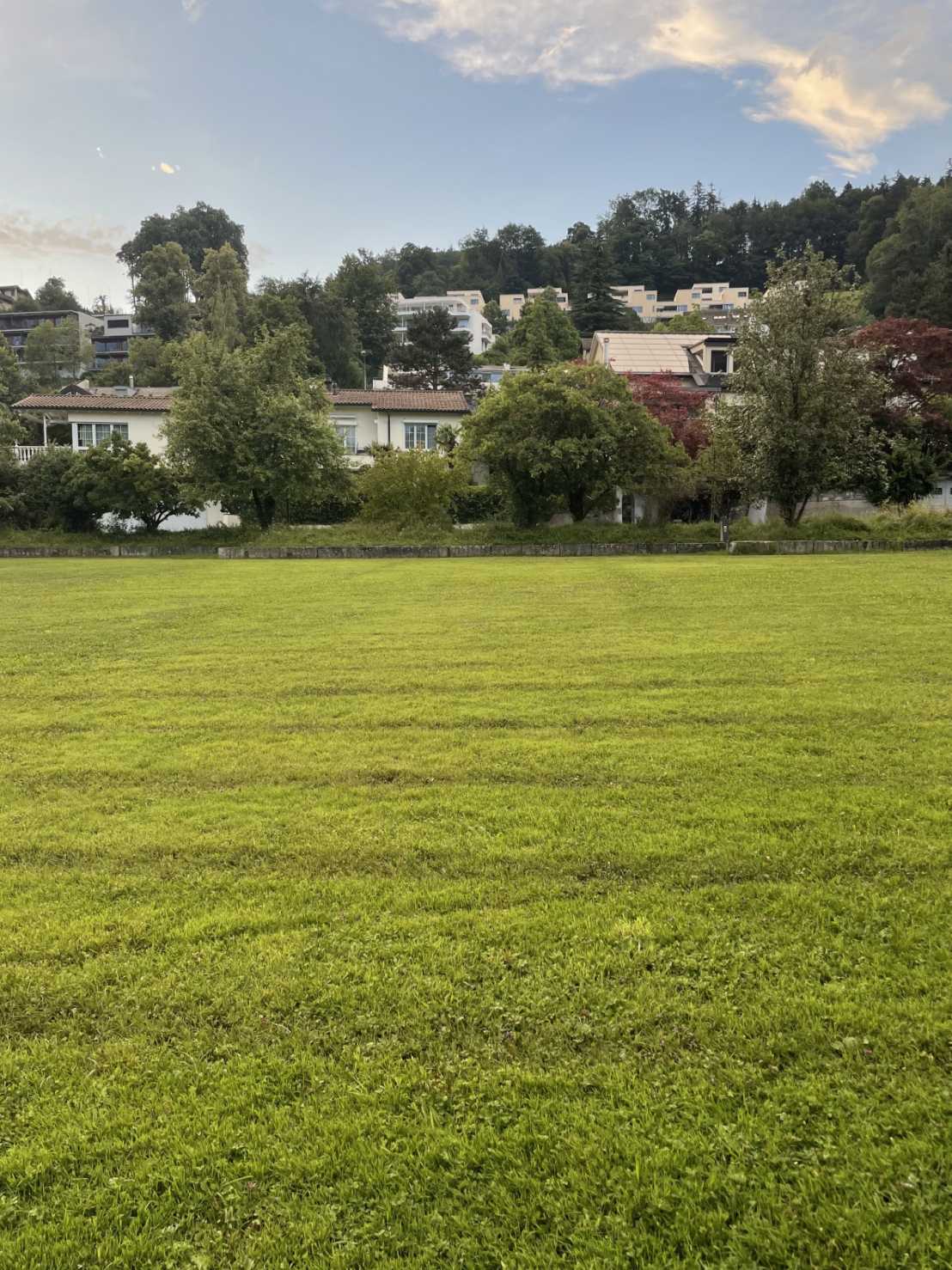 Bild einer Wiese (Brühlmatte) im Luzerner Würzenbachquartier mit Wohnbauten im Hintergrund